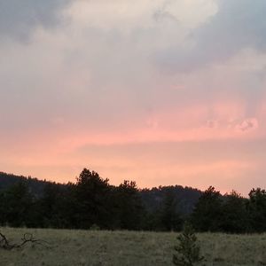 Meet your Posher, Chantel